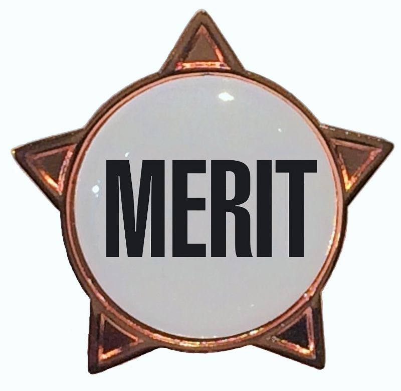 MERIT titled star badge